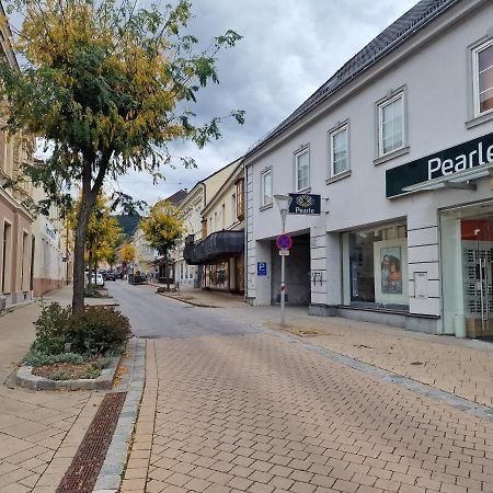 Appartamento Gudzevic Ferien Unterkuenfte A - 5 Gloggnitz Esterno foto