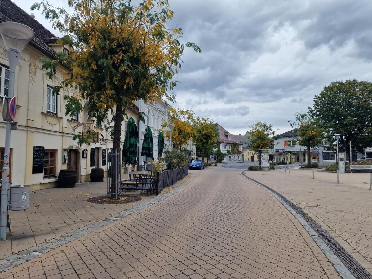 Appartamento Gudzevic Ferien Unterkuenfte A - 5 Gloggnitz Esterno foto